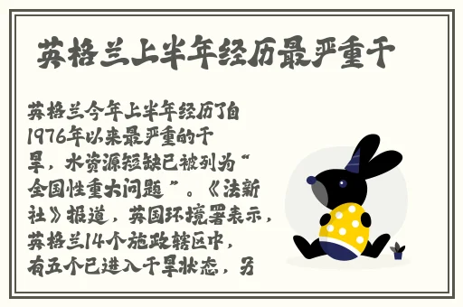 国产亚洲精品第一综合另类